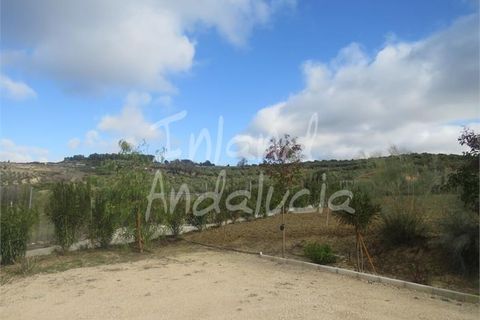 Villa i Martos, Jaen, Martos - € 168.000 | Ref: CH478 - foto 8