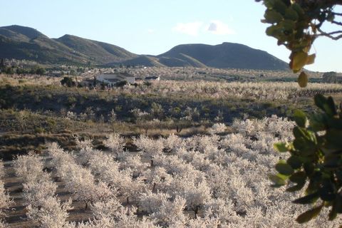 Finca i Lorca, Murcia, Lorca - € 374.995 | Ref: AG19MLSC4925577 - foto 27