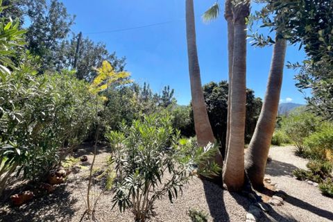 Finca i Jalon, Alicante, Jalon - € 649.000 | Ref: xpv02067p - foto 46
