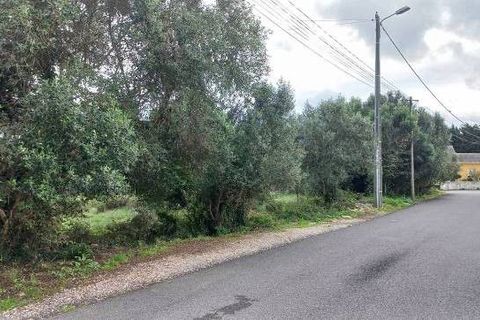 Helårsgrund i Sintra, Lisbon, Sintra - € 495.000 | Ref: GRRE-00341/12758 - foto 5