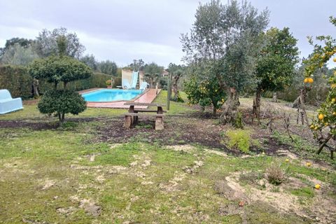 Villa i Constancia, Santarem, Constancia - € 570.000 | Ref: DRS_0006/12758 - foto 4