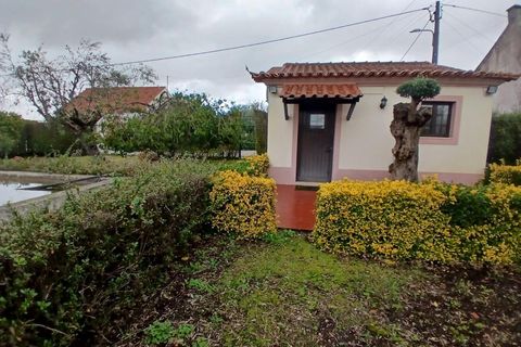 Villa i Constancia, Santarem, Constancia - € 570.000 | Ref: DRS_0006/12758 - foto 5