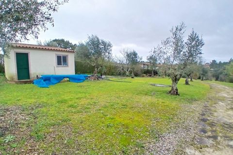 Villa i Constancia, Santarem, Constancia - € 570.000 | Ref: DRS_0006/12758 - foto 7