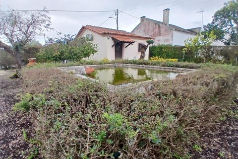 Villa i Constancia, Santarem, Constancia - € 570.000 | Ref: DRS_0006/12758 - foto 16