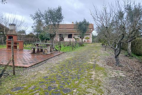 Villa i Constancia, Santarem, Constancia - € 570.000 | Ref: DRS_0006/12758 - foto 18