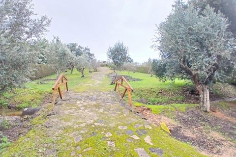 Villa i Constancia, Santarem, Constancia - € 570.000 | Ref: DRS_0006/12758 - foto 19