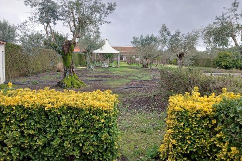 Villa i Constancia, Santarem, Constancia - € 570.000 | Ref: DRS_0006/12758 - foto 20