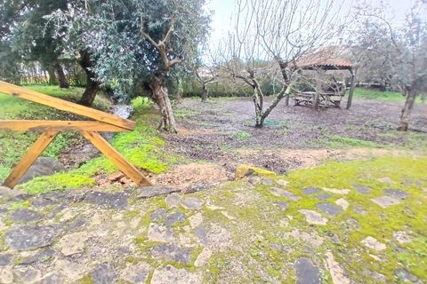 Villa i Constancia, Santarem, Constancia - € 570.000 | Ref: DRS_0006/12758 - foto 22