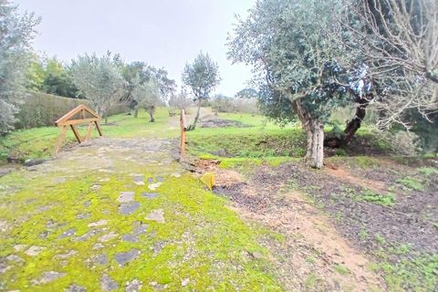 Villa i Constancia, Santarem, Constancia - € 570.000 | Ref: DRS_0006/12758 - foto 23