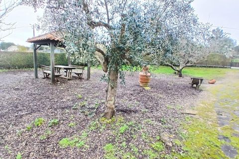 Villa i Constancia, Santarem, Constancia - € 570.000 | Ref: DRS_0006/12758 - foto 24