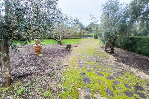 Villa i Constancia, Santarem, Constancia - € 570.000 | Ref: DRS_0006/12758 - foto 25