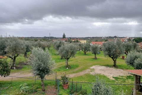 Villa i Constancia, Santarem, Constancia - € 570.000 | Ref: DRS_0006/12758 - foto 27