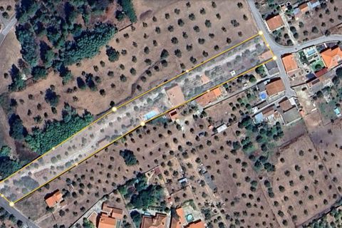 Villa i Constancia, Santarem, Constancia - € 570.000 | Ref: DRS_0006/12758 - foto 30