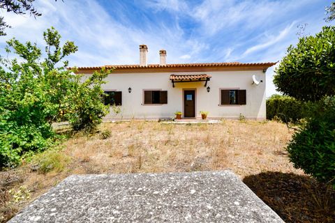 Villa a Constancia, Santarem, Constancia - € 570.000 | Ref: DRS_0006/12758 - foto 41