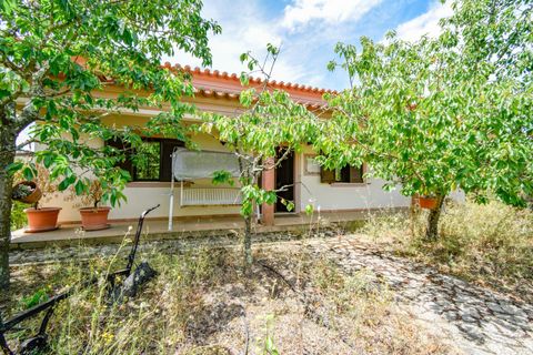 Villa a Constancia, Santarem, Constancia - € 570.000 | Ref: DRS_0006/12758 - foto 42