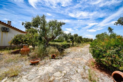Villa a Constancia, Santarem, Constancia - € 570.000 | Ref: DRS_0006/12758 - foto 43