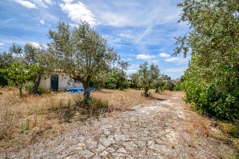 Villa a Constancia, Santarem, Constancia - € 570.000 | Ref: DRS_0006/12758 - foto 45