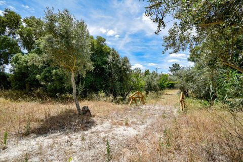Villa a Constancia, Santarem, Constancia - € 570.000 | Ref: DRS_0006/12758 - foto 46