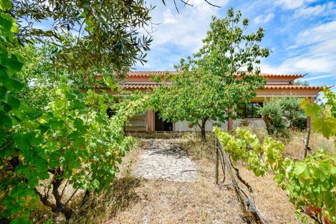 Villa a Constancia, Santarem, Constancia - € 570.000 | Ref: DRS_0006/12758 - foto 47