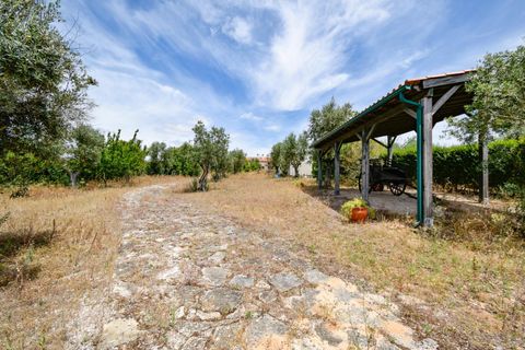 Villa a Constancia, Santarem, Constancia - € 570.000 | Ref: DRS_0006/12758 - foto 48