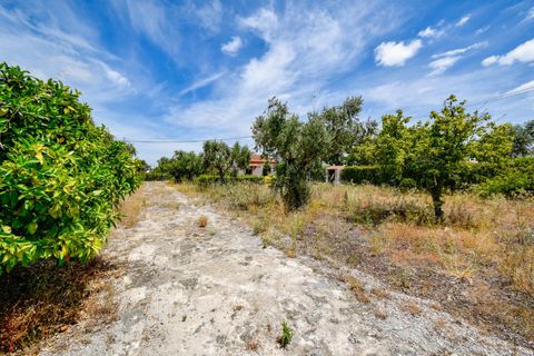 Villa a Constancia, Santarem, Constancia - € 570.000 | Ref: DRS_0006/12758 - foto 49