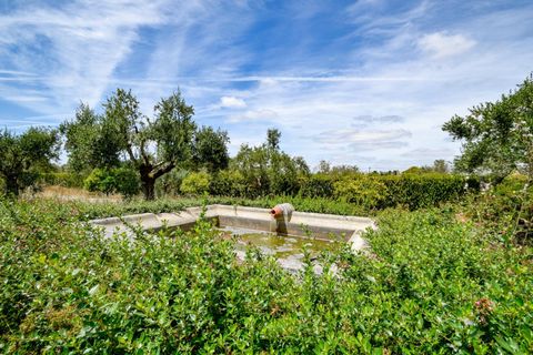 Villa a Constancia, Santarem, Constancia - € 570.000 | Ref: DRS_0006/12758 - foto 50