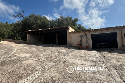 Villa in Son Servera, Mallorca, Son Servera - € 4,000/month | Ref: R29207 - photo 30