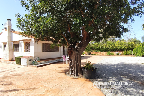 Landejendom i Llucmajor, Mallorca, Llucmajor - € 625.000 | Ref: 83566 - foto 15