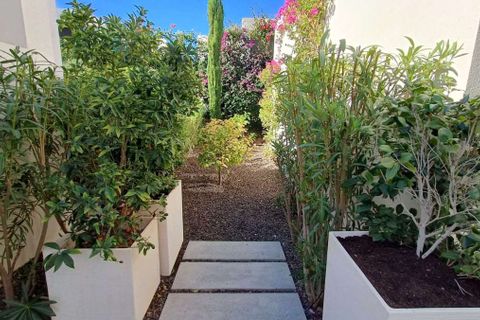 Villa i Algorfa, Alicante, Algorfa - € 609 995 | Ref: 27-512-11-988 - foto 42