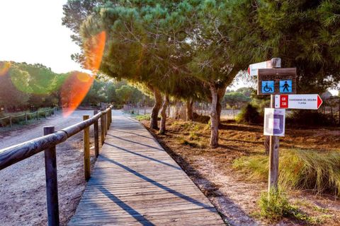 Bungalou a Torrevieja, Alicante, Torrevieja - € 129.999 | Ref: 24-407-11-806 - foto 42
