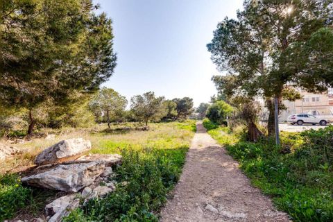 Bungalou a Torrevieja, Alicante, Torrevieja - € 129.999 | Ref: 24-407-11-806 - foto 49