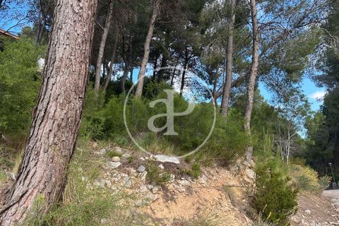 Terra a Chiva, Valencia, Chiva - € 115.000 | Ref: VV2605013 - foto 3