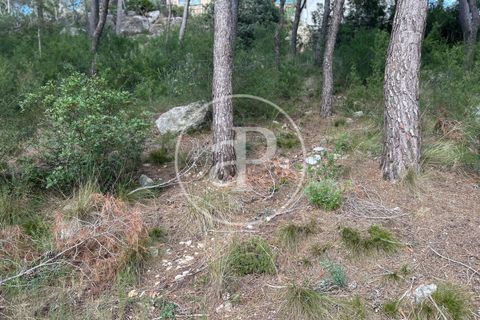 Terra a Chiva, Valencia, Chiva - € 115.000 | Ref: VV2605013 - foto 4