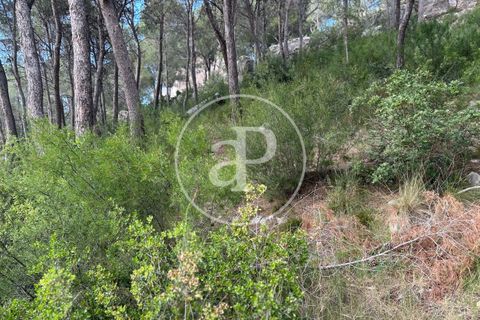 Terra a Chiva, Valencia, Chiva - € 115.000 | Ref: VV2605013 - foto 5