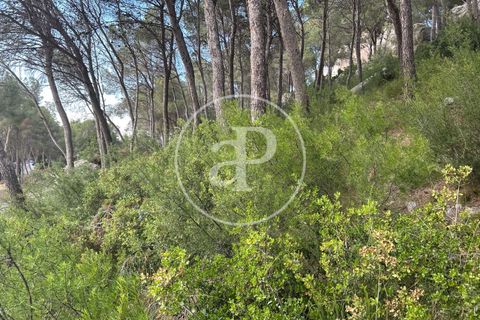 Terra a Chiva, Valencia, Chiva - € 115.000 | Ref: VV2605013 - foto 6