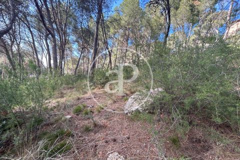 Terra a Chiva, Valencia, Chiva - € 115.000 | Ref: VV2605013 - foto 8