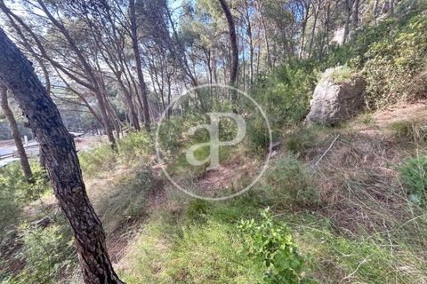 Terra a Chiva, Valencia, Chiva - € 115.000 | Ref: VV2605013 - foto 9