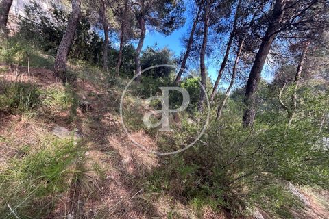 Terra a Chiva, Valencia, Chiva - € 115.000 | Ref: VV2605013 - foto 11