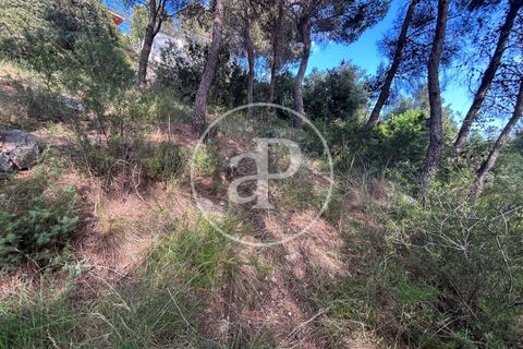 Terra a Chiva, Valencia, Chiva - € 115.000 | Ref: VV2605013 - foto 12