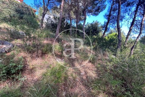Terra a Chiva, Valencia, Chiva - € 115.000 | Ref: VV2605013 - foto 13