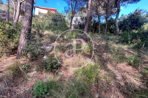 Terra a Chiva, Valencia, Chiva - € 115.000 | Ref: VV2605013 - foto 14