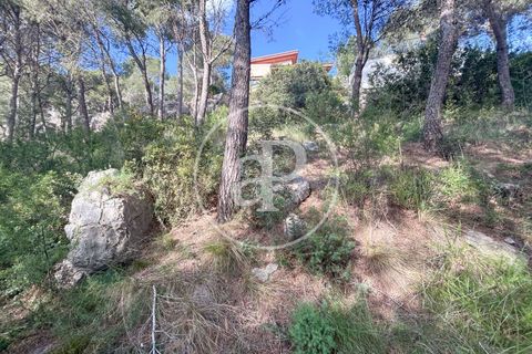 Terra a Chiva, Valencia, Chiva - € 115.000 | Ref: VV2605013 - foto 15