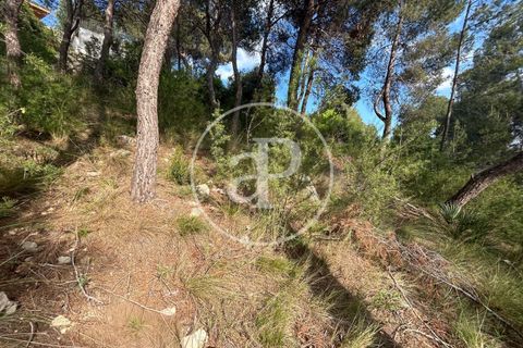 Terra a Chiva, Valencia, Chiva - € 115.000 | Ref: VV2605013 - foto 16