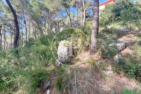 Terra a Chiva, Valencia, Chiva - € 115.000 | Ref: VV2605013 - foto 19
