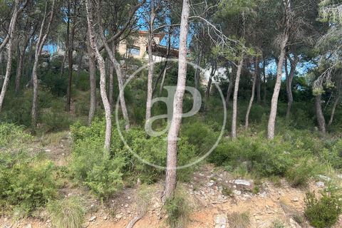 Terra a Chiva, Valencia, Chiva - € 115.000 | Ref: VV2605013 - foto 21