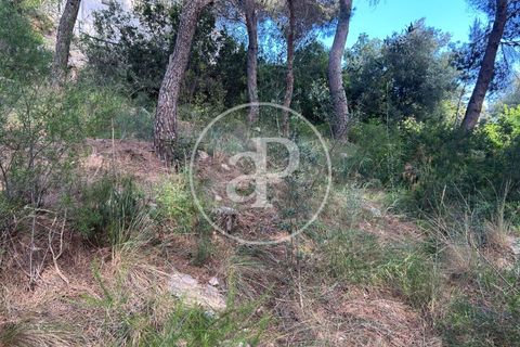 Terra a Chiva, Valencia, Chiva - € 115.000 | Ref: VV2605013 - foto 22