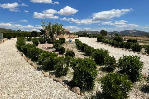 Villa i Pinoso, Alicante, Pinoso - € 399.995 | Ref: RBMP6562 - foto 50