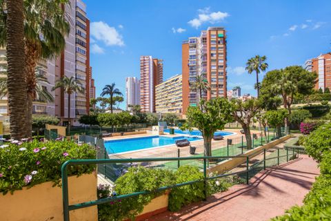 Leilighet i Benidorm, Alicante, Benidorm - € 420 000 | Ref: NO5869 - foto 24