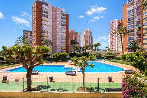 Leilighet i Benidorm, Alicante, Benidorm - € 420 000 | Ref: NO5869 - foto 27