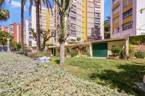 Leilighet i Benidorm, Alicante, Benidorm - € 420 000 | Ref: NO5869 - foto 30